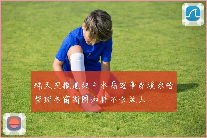 瑞天空报道纽卡水晶宫争夺埃尔哈努斯冬窗斯图加特不会放人