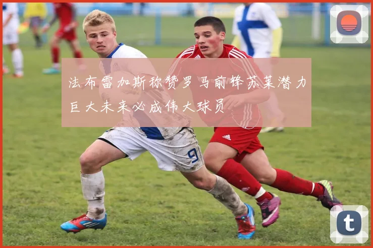 法布雷加斯称赞罗马前锋苏莱潜力巨大未来必成伟大球员