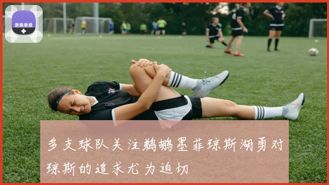 多支球队关注鹈鹕墨菲琼斯湖勇对琼斯的追求尤为迫切